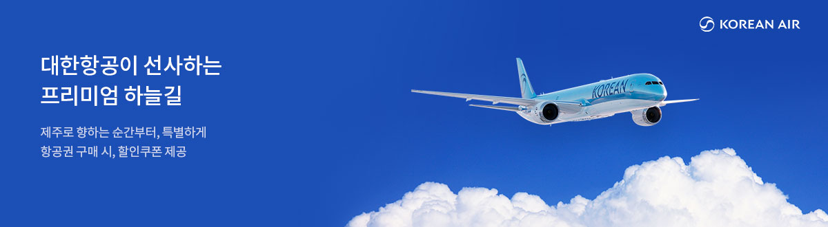[PC][항공] 대한항공 전략 VI 기획전_20000030224